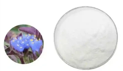 20-hydroxyecdysone poud 98% beta ecdysterone