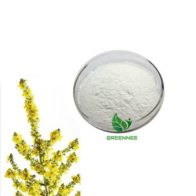 Verbascoside 98% CAS 61276-17-3}