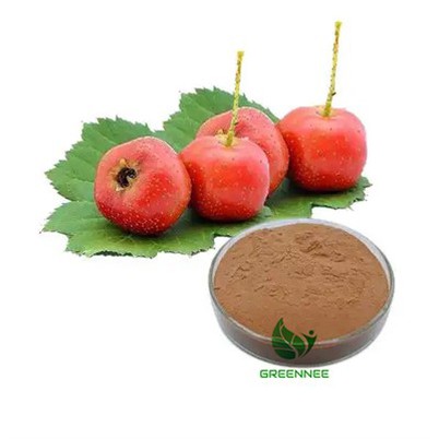 Ekstrè fèy epin Vitexin-2-rhamnoside 2%