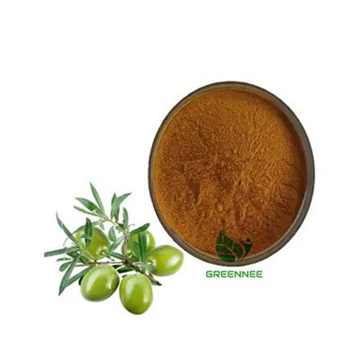 Ekstrè fèy oliv Oleuropein 20%